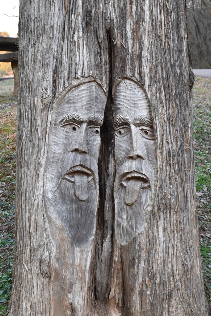 One of the trees carved by Tim Tingle that can be found on Tinglewood Loop. The carving is of two faces, both sticking their tongues out at one another. 