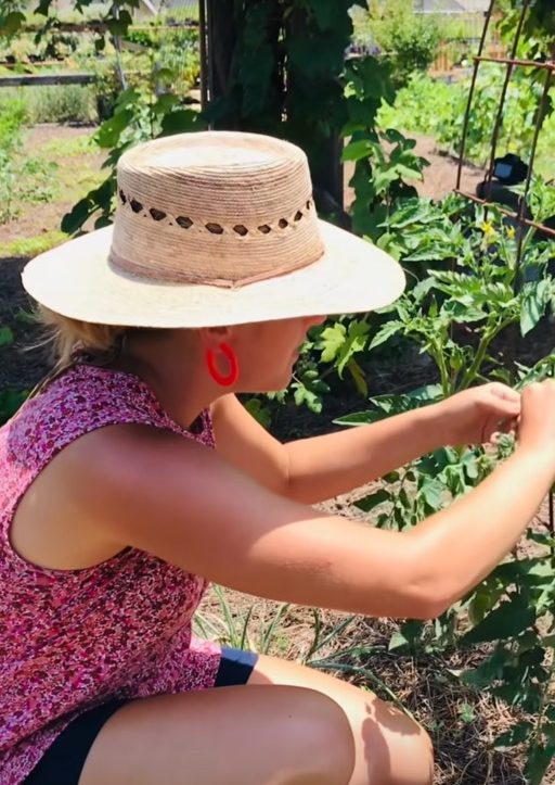 Woman harvesting plants.