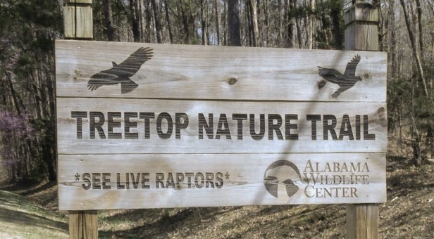 Treetop Nature Trail