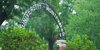 foliage and entryway arch
