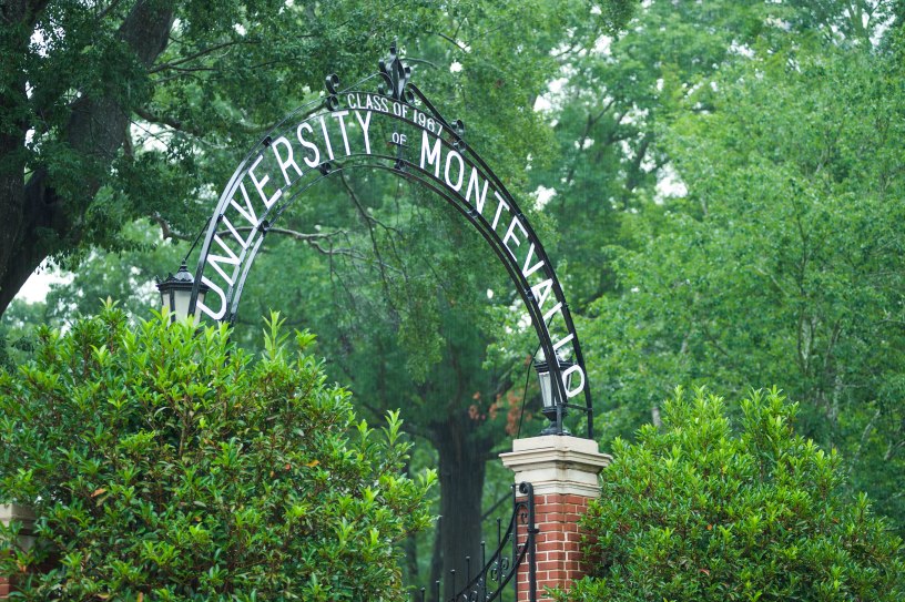 foliage and entryway arch