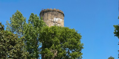 Water tower above trees