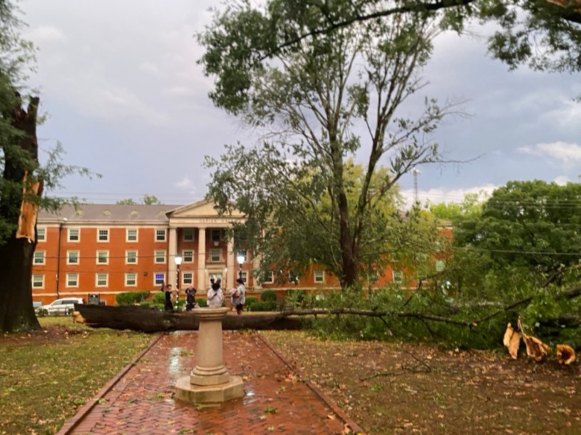 Storm damage
