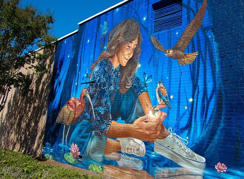 painted wall of lady with birds on blue background